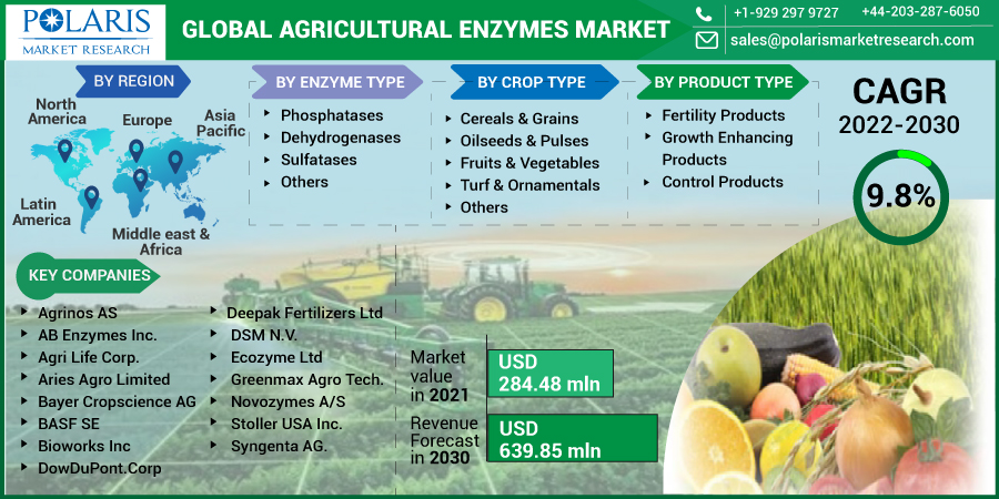 Agricultural_Enzymes_Market10