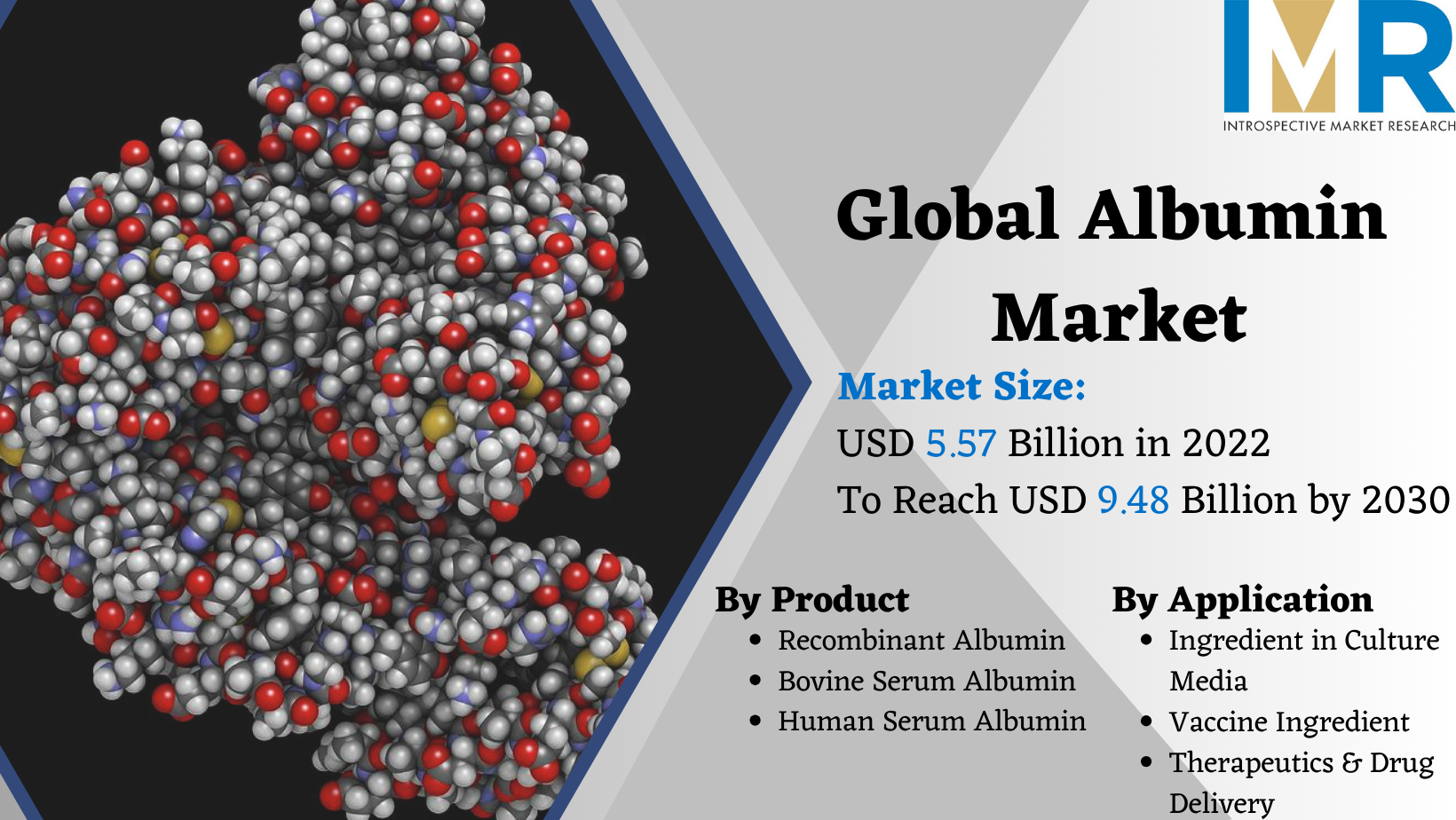 Albumin_Market