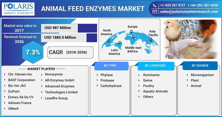 Animal_Feed_Enzymes_Market10