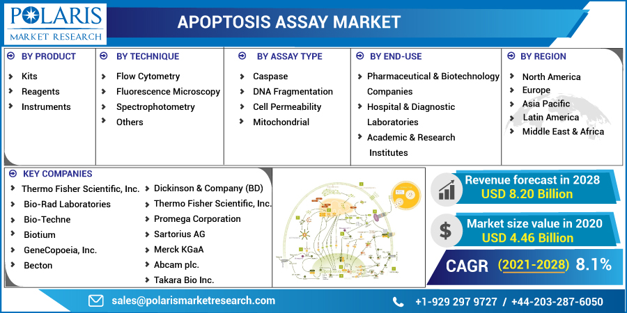 Apoptosis_Assay_Market19