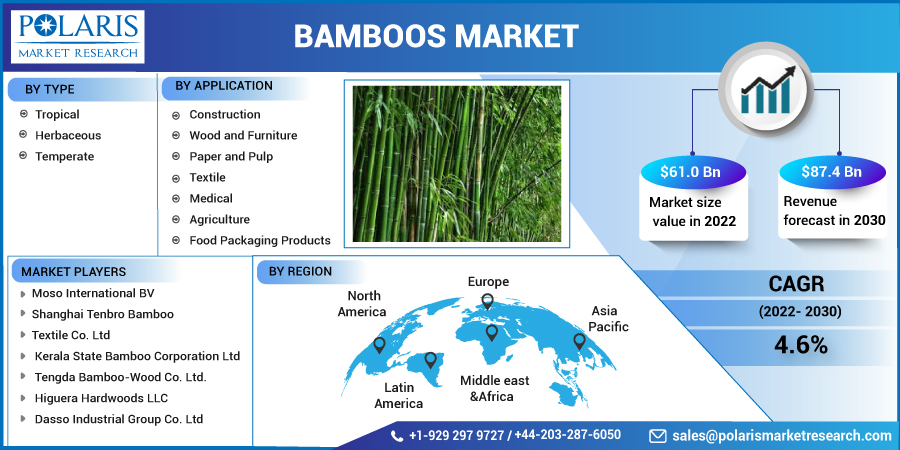 Bamboos_Market16