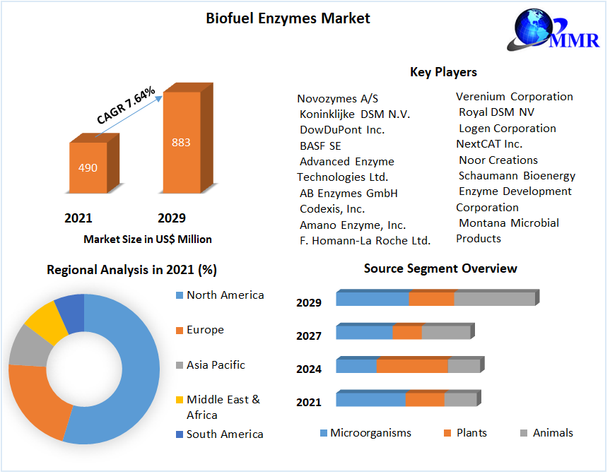 Biofuel-Enzymes-Market-1