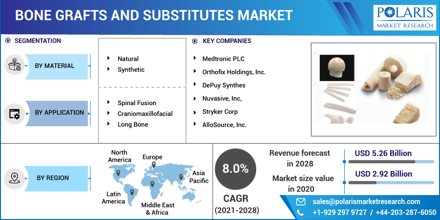 Bone_Grafts_And_Substitutes_Market10