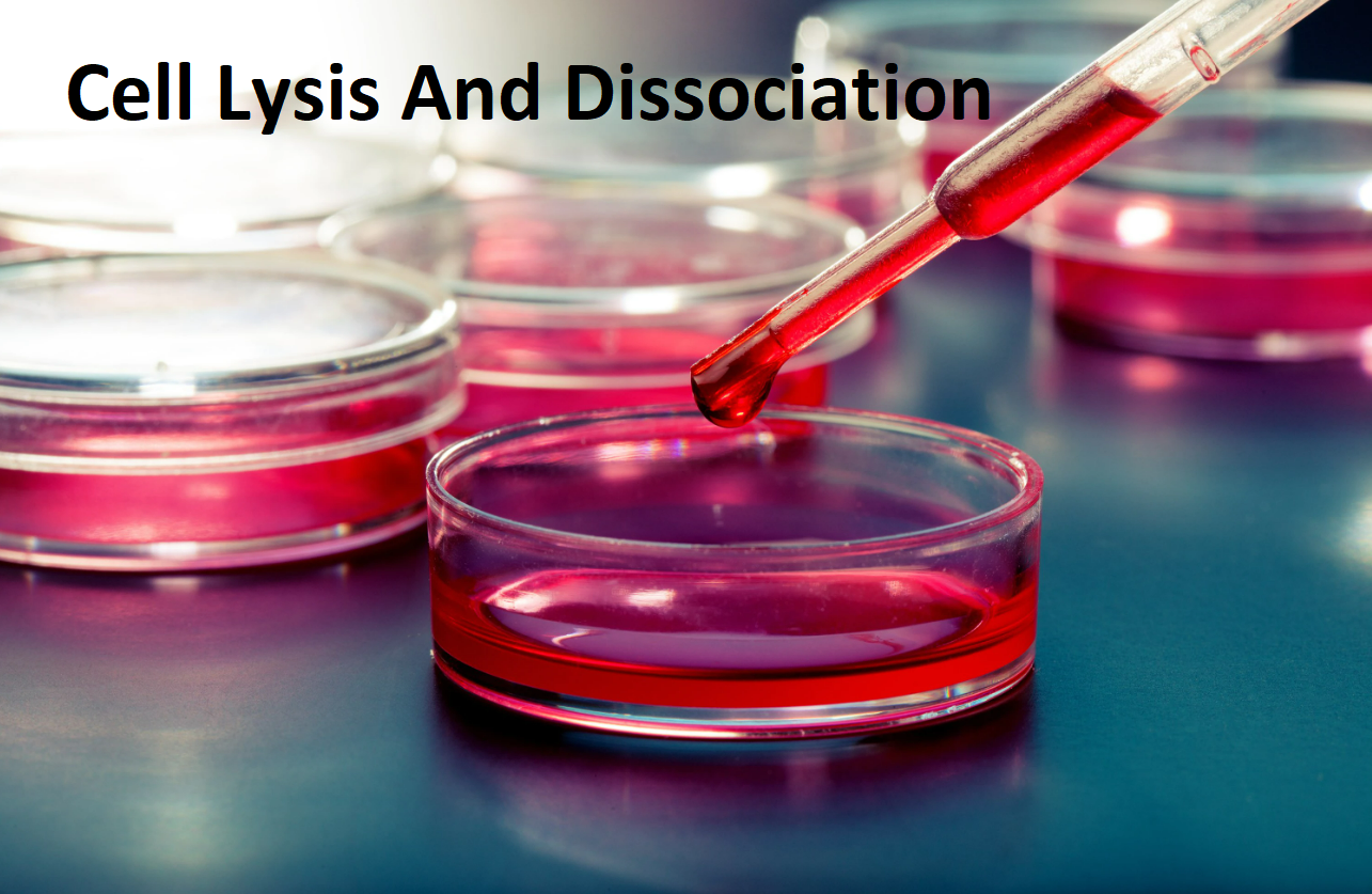 Cell_Lysis_And_Dissociation