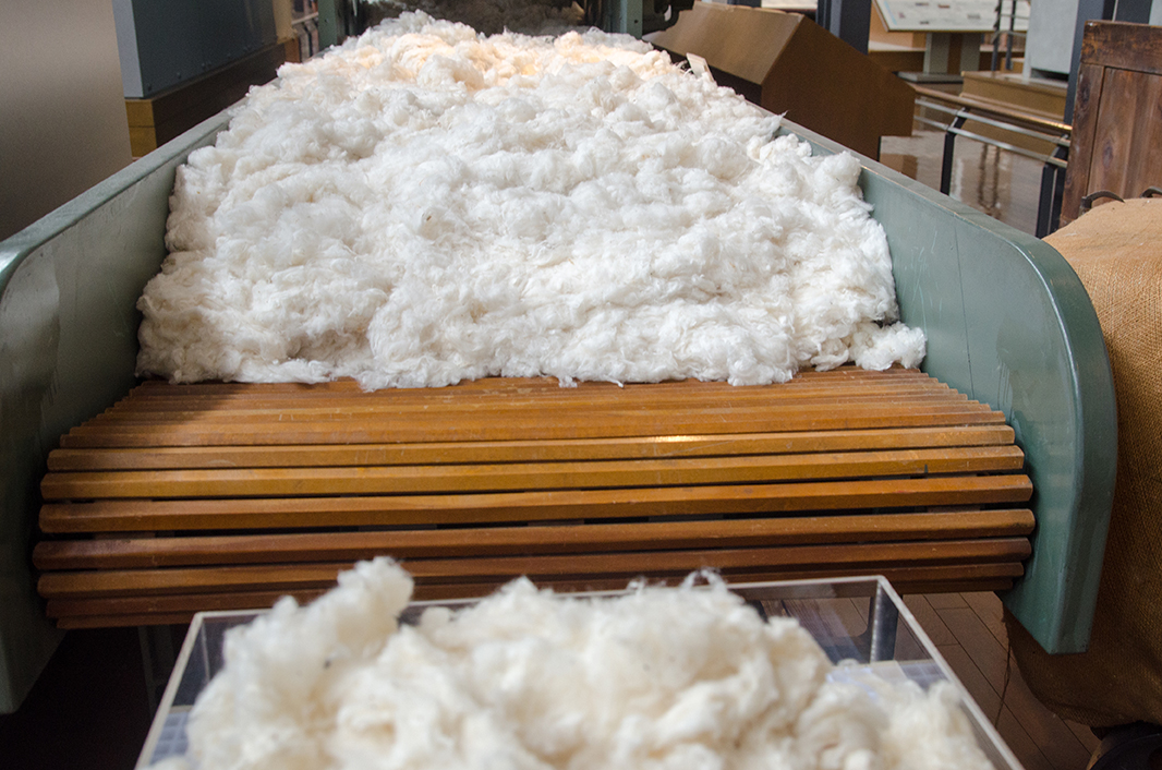 Cotton_Processing