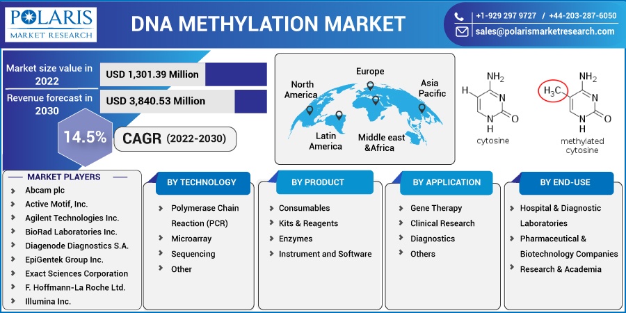 DNA-Methylation-Market1