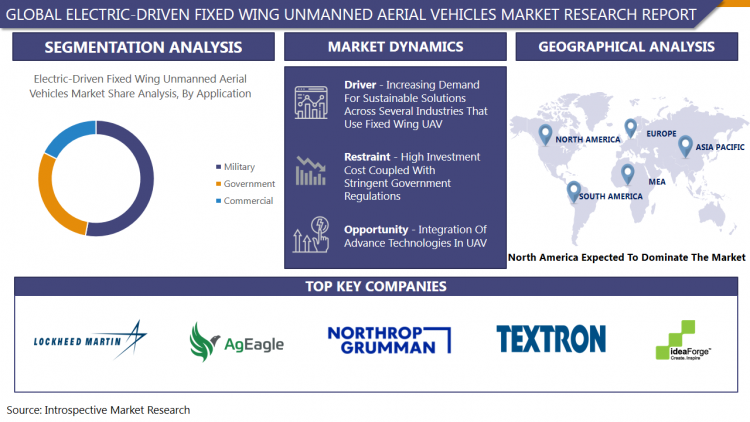 Electric-Driven_Fixed_Wing_Unmanned_Aerial_Vehicles_Market