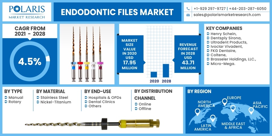 Endodontic-Files-Market_(1)1