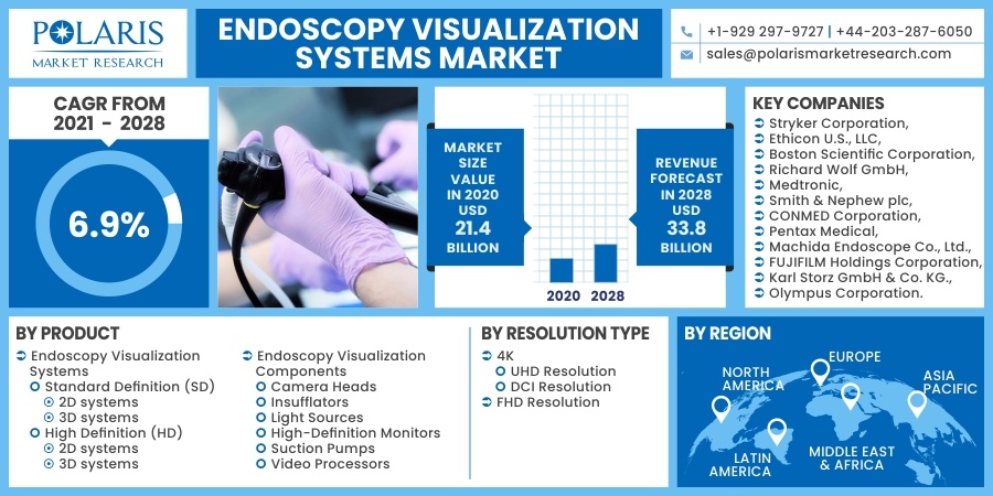 Endoscopy_Visualization_Systems_Market12