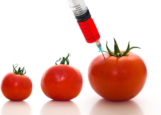 Genetically_Modified_Food