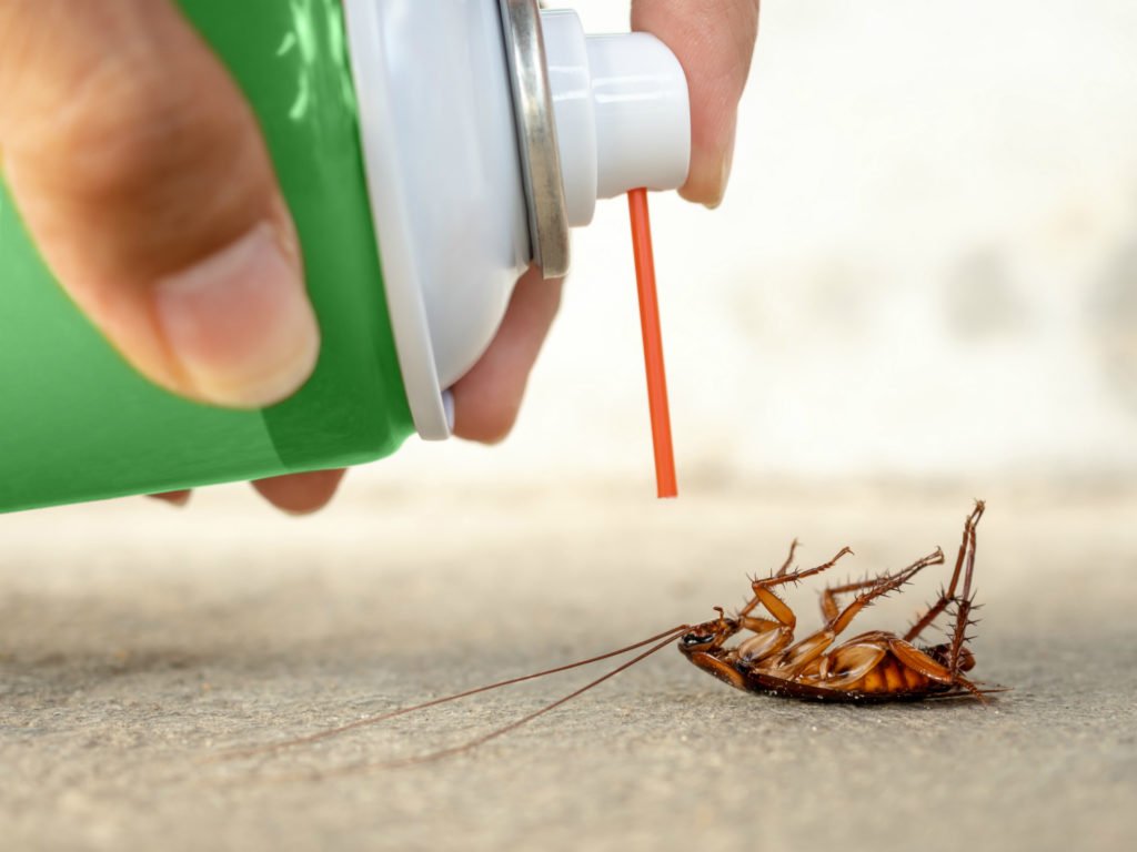 Household_Insecticides_Market