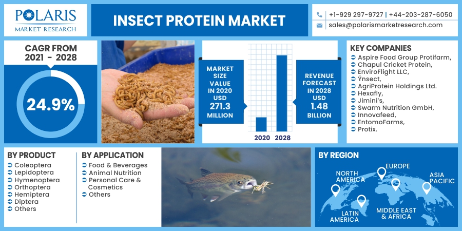 Insect_Protein_Market13