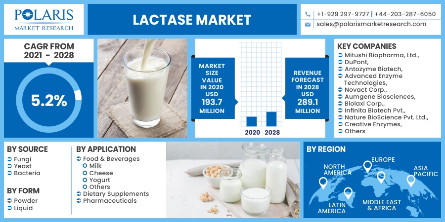 Lactase_Market5