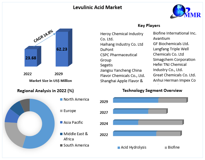 Levulinic-Acid-Market-1