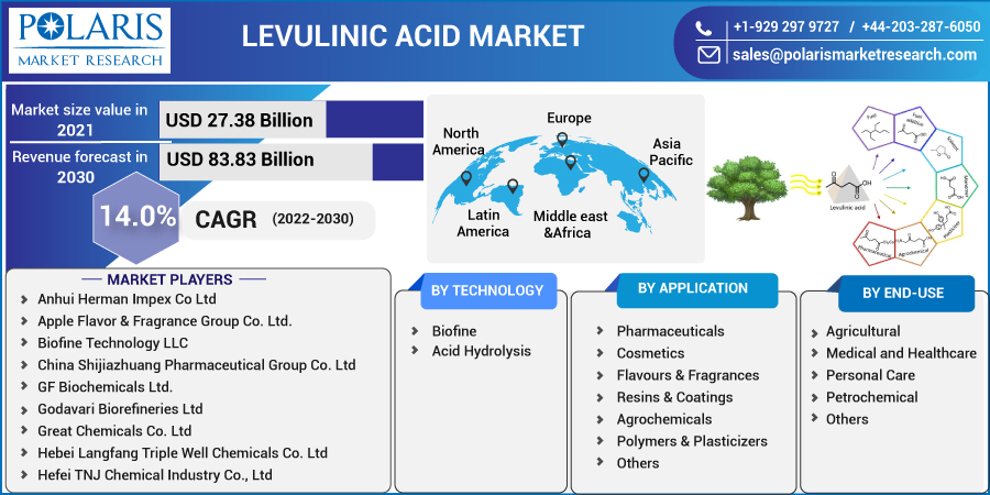 Levulinic_Acid_Market1
