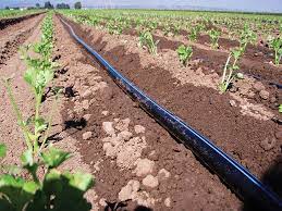 Micro_Irrigation_Systems_Market