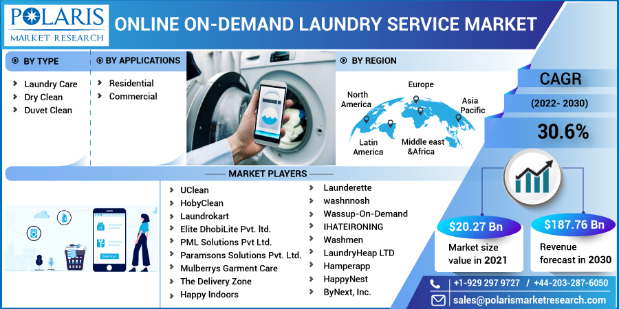 Online_On-demand_Laundry_Service_Market-01
