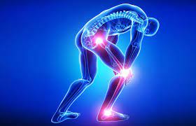 Orthopedic_Joint_Replacement