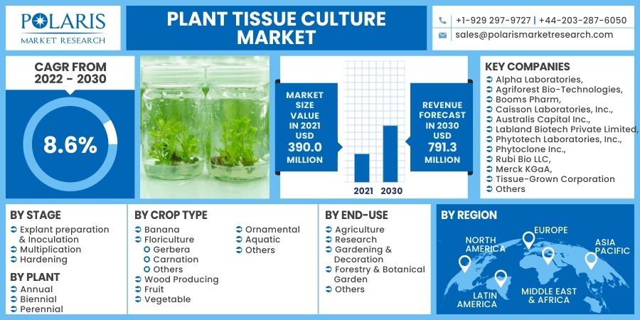 Plant_Tissue_Culture_Market11