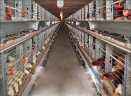 Poultry_Keeping_Machinery_Market