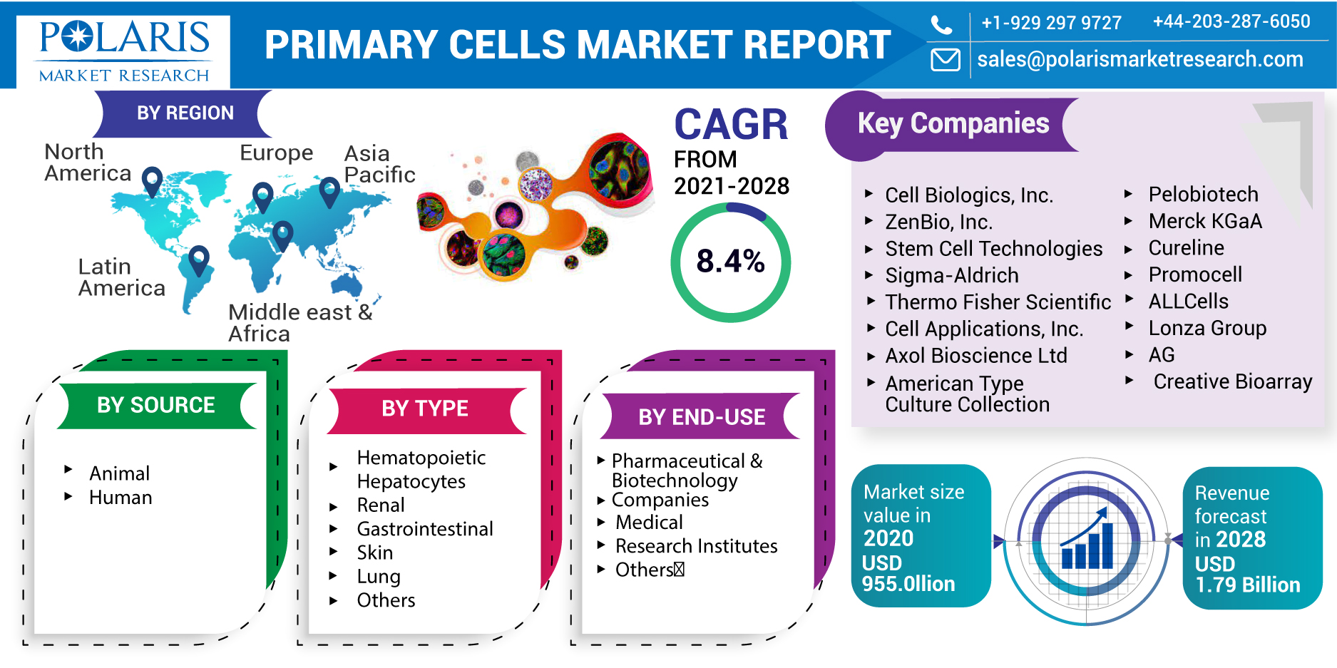 Primary_Cells_Market-013