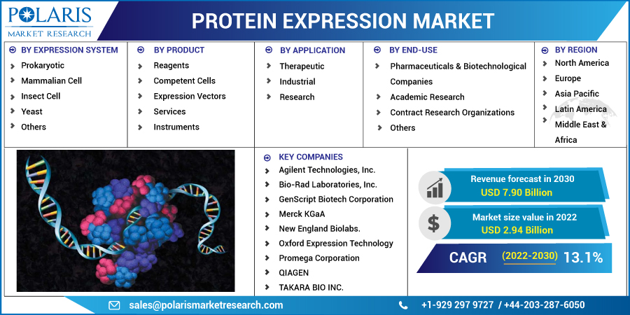 Protein_Expression_Market1