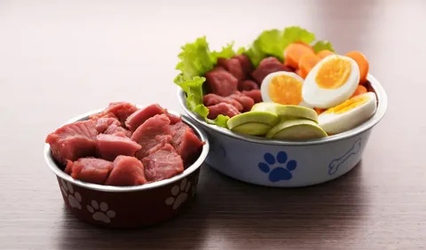 Raw,_Fresh,_Frozen_Dog_Food_Market1