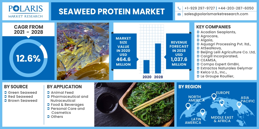 Seaweed_Protein_Market20