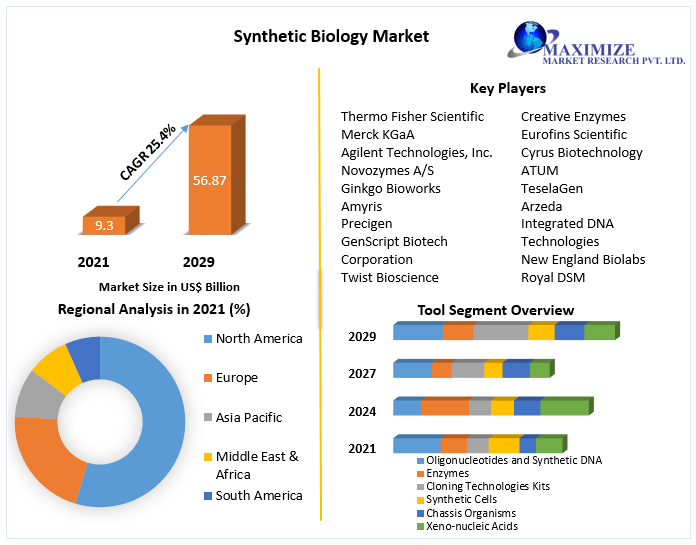 Synthetic-Biology-Market-2