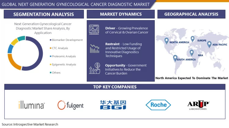 rd_image_updated_next_generation_gynecological_cancer_diagnostic_market_sanika.750x0-is-pid41343_