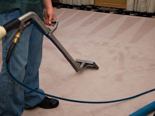 steam+carpet+cleaning