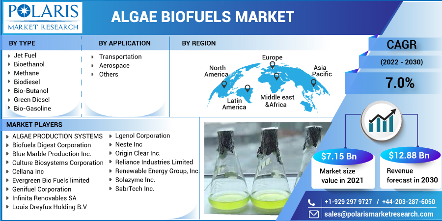 Algae_Biofuels_Market-0110