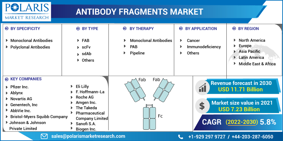 Antibody_Fragments_Market7