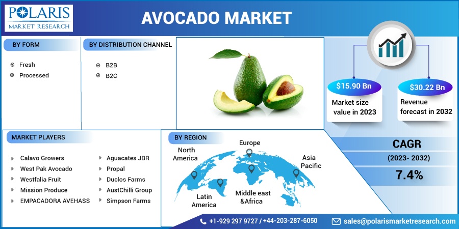 Avocado_Market1