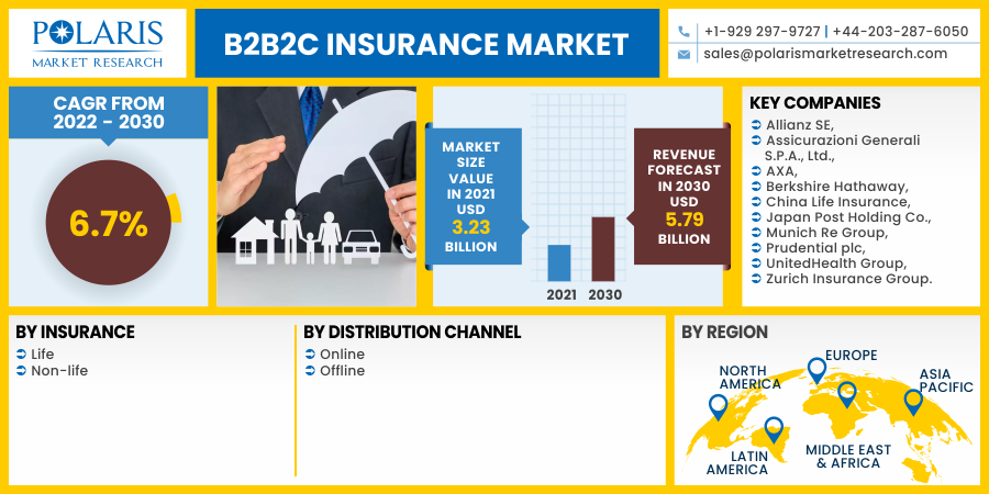 B2B2C_Insurance_Market11