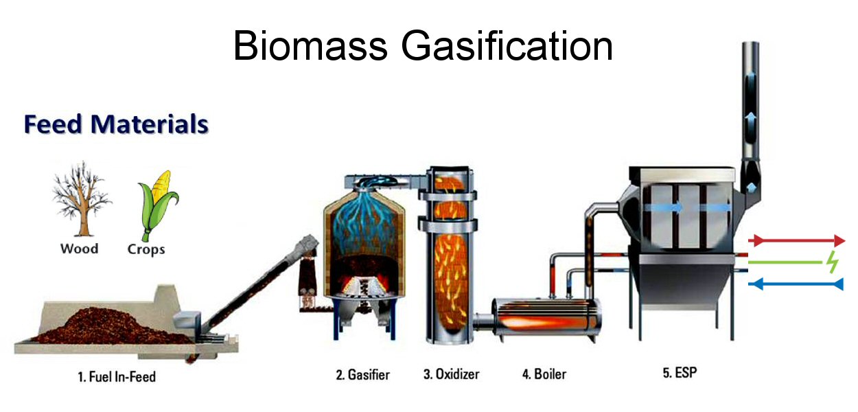 Biomass_Gasification