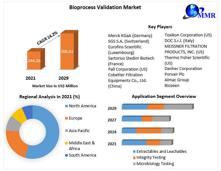 Bioprocess-Validation-Market-2