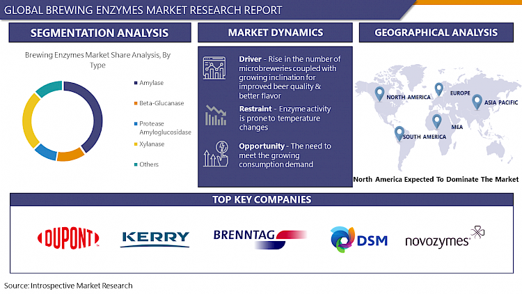 Brewing_Enzymes_Market
