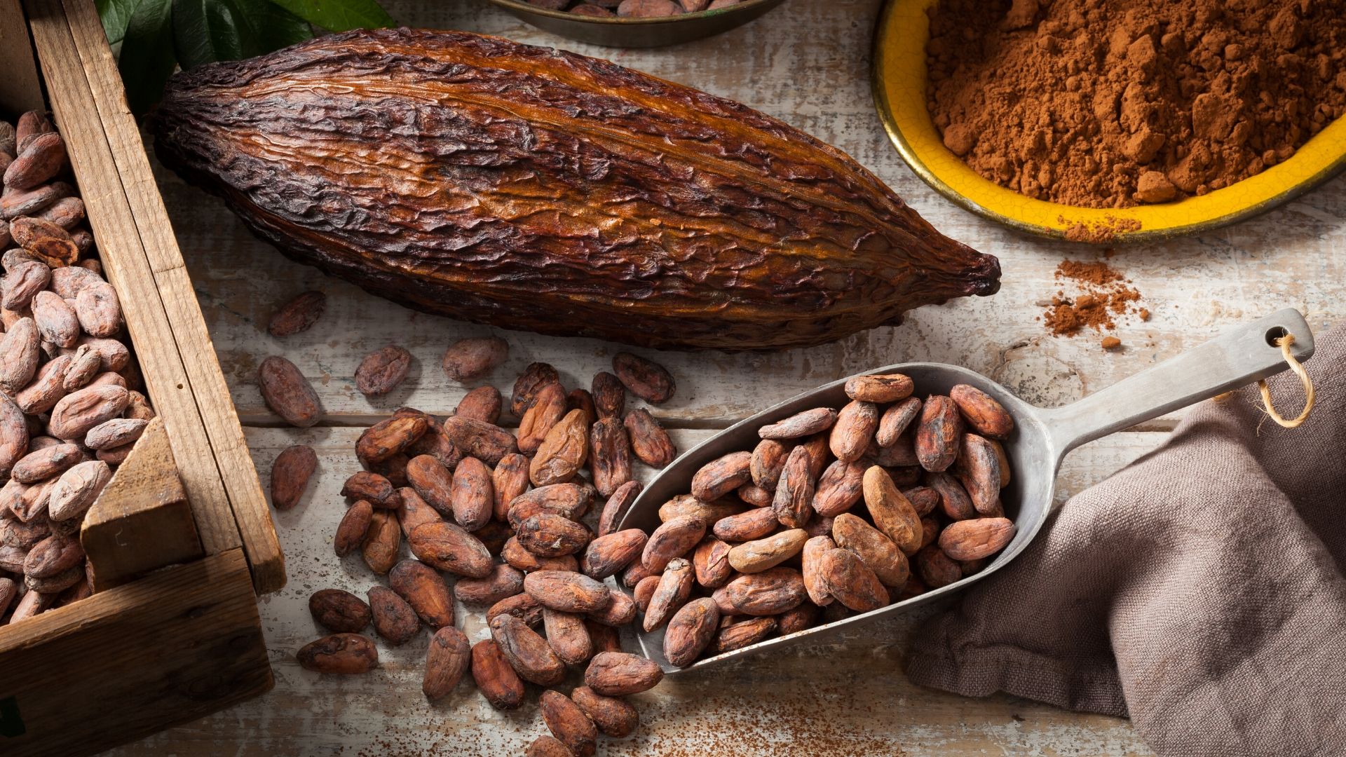 Cacao_Beans_Market