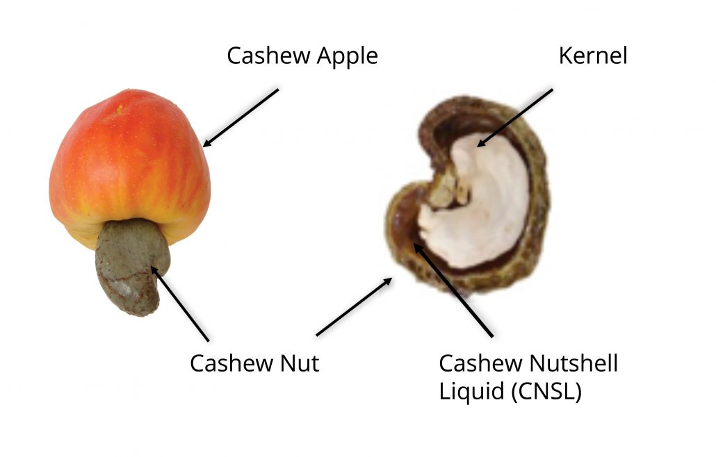 Cashew_Nutshell_Liquid