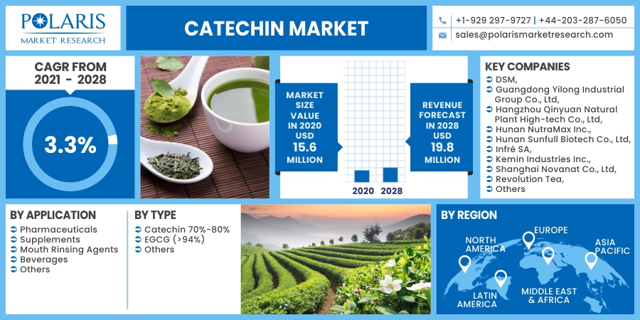 Catechin_Market11