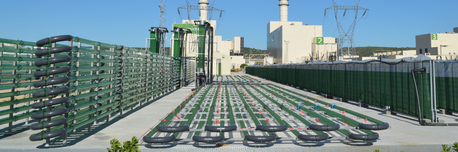 Demand_for_Microalgae_in_Fertilizers_Sector