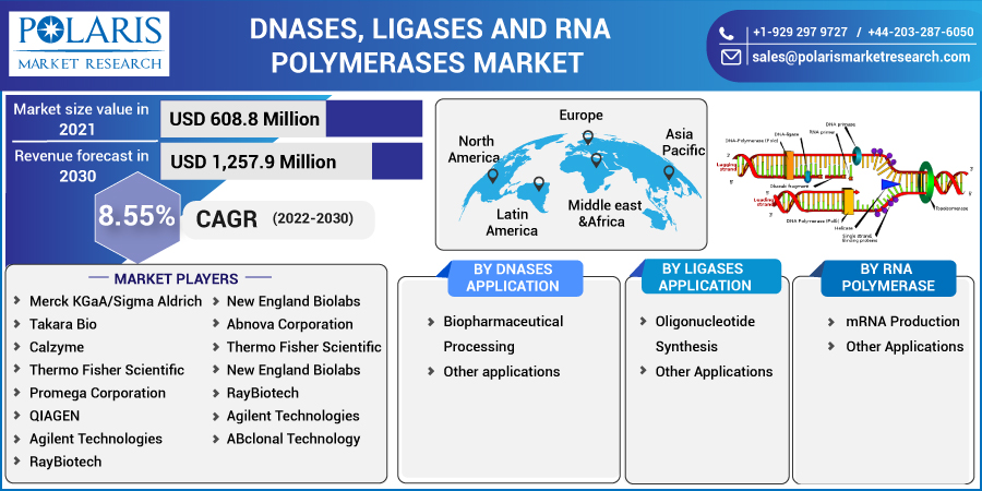 Dnases,_Ligases_and_RNA_Polymerases_Market-0110