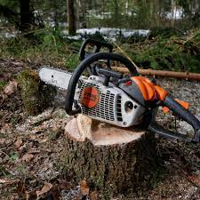 Europe_Woodworking_Power_Tools_Market