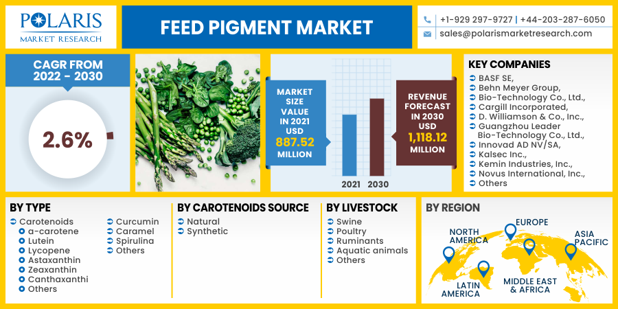 Feed_Pigment_Market10