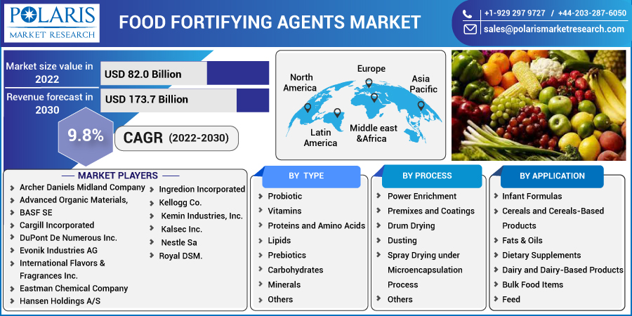 Food_Fortifying_Agents_Market6