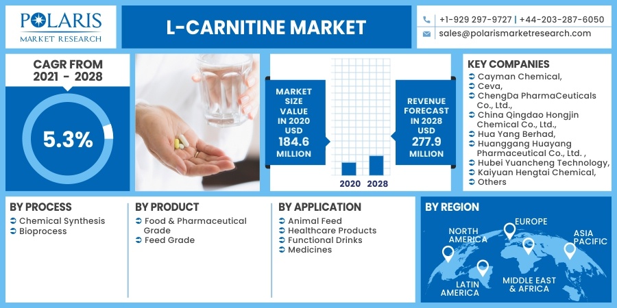 L-Carnitine_Market14