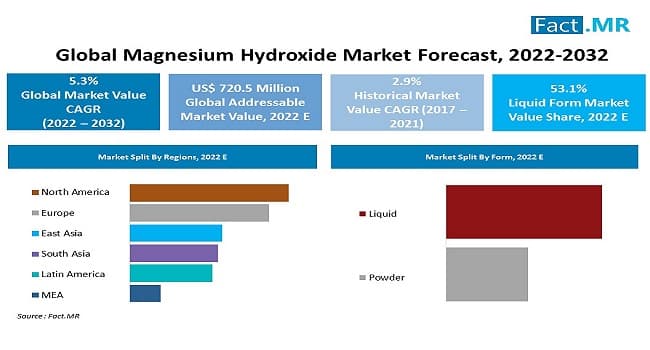 Magnesium_Hydroxide_Market