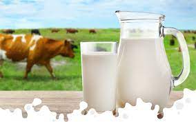 Organic_Whole_Liquid_Milk_Market