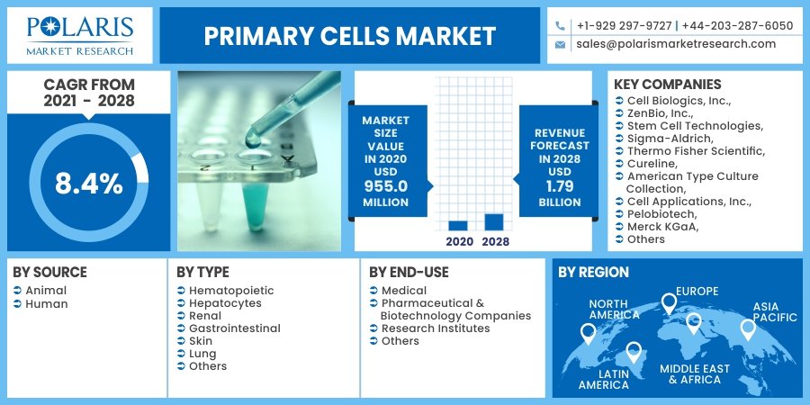 Primary_Cells_Market10